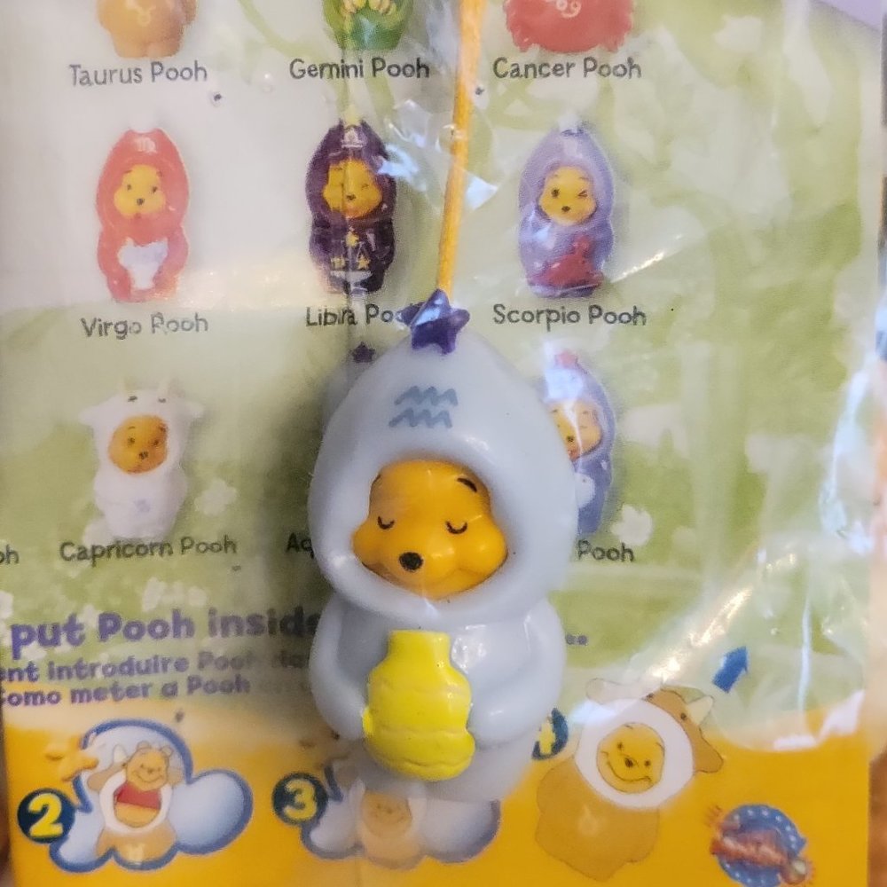 Winnie The Pooh Peek-A-Pooh zodiac Astrology Aquarius Tomy Yujin